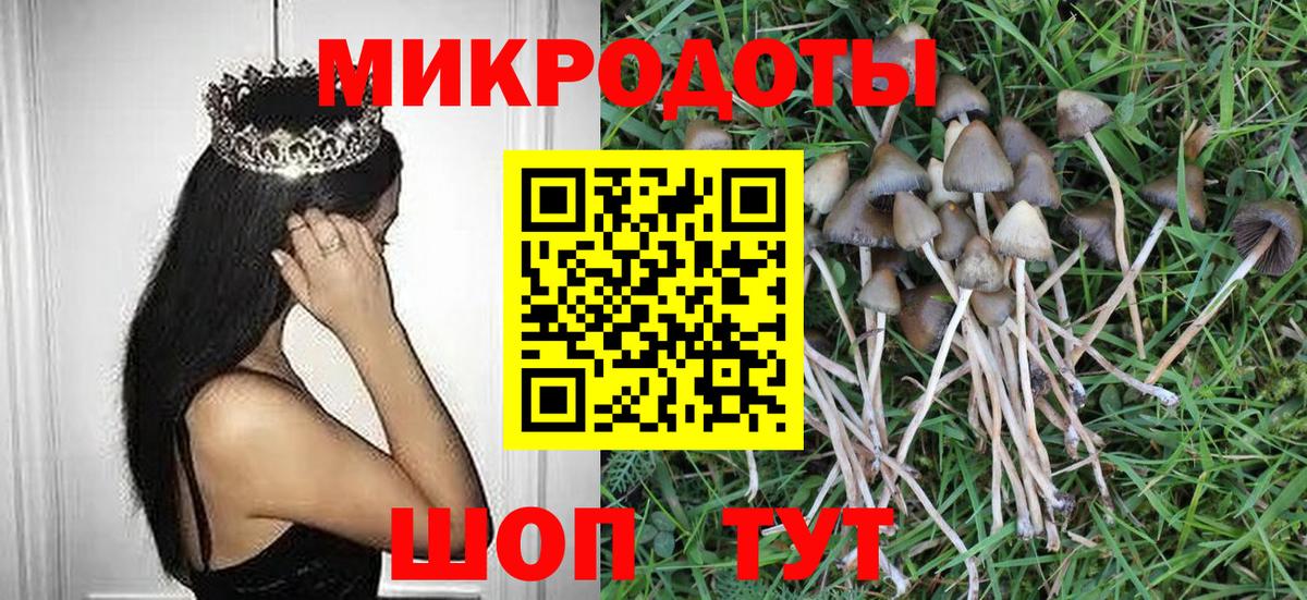Стерлитамак  Галлюциногенные грибы ЛСД  Вход с VPN 